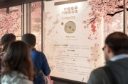 日本签证申请条件详解，助力您顺利开启日本之旅