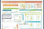 遵义市社保领取指南，全面解析领取流程与注意事项
