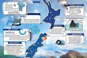 详解新西兰移民条件，如何成功申请新西兰移民？