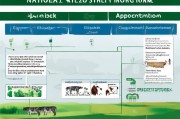 如何申请国家养牛补贴，实用指南与政策解析