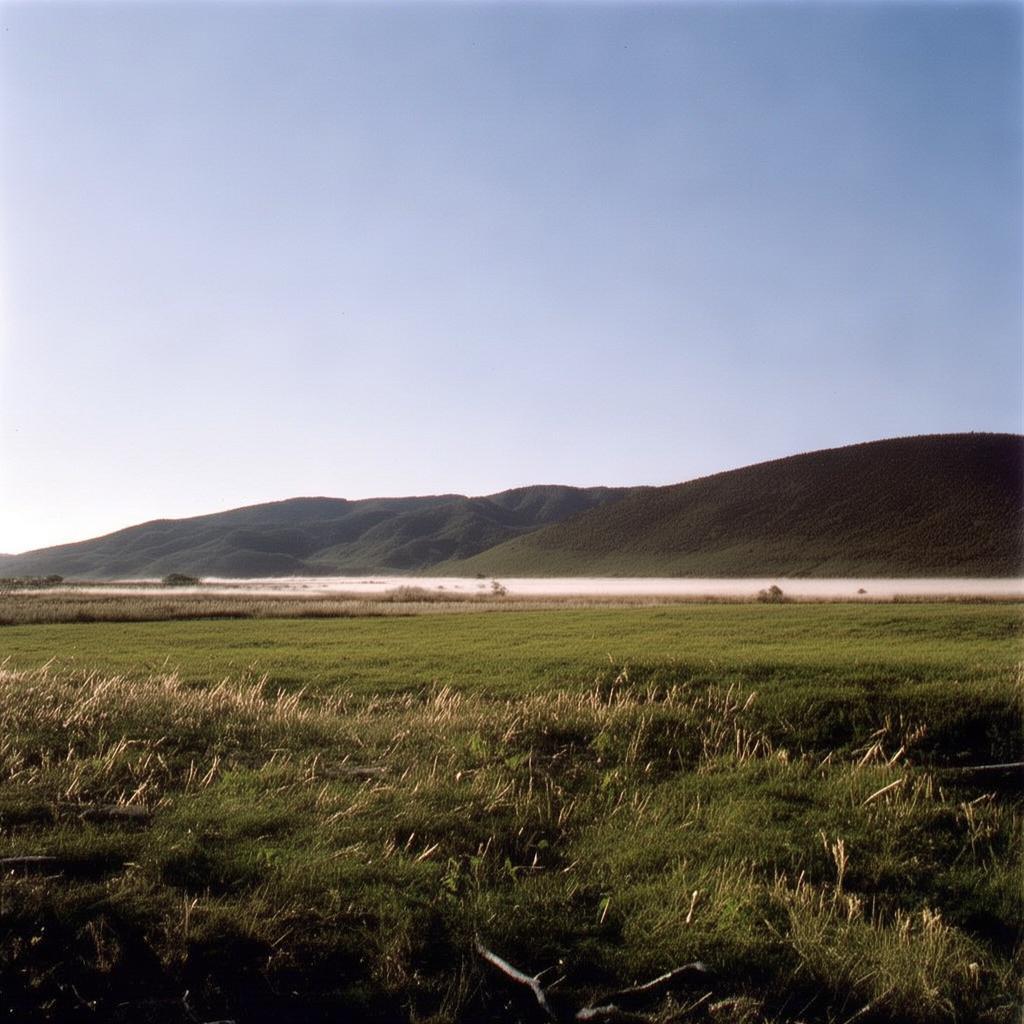 微信朋友圈自动播放视频关闭攻略，轻松告别打扰，享受宁静时光，轻松关闭微信朋友圈自动播放视频，享受宁静朋友圈时光