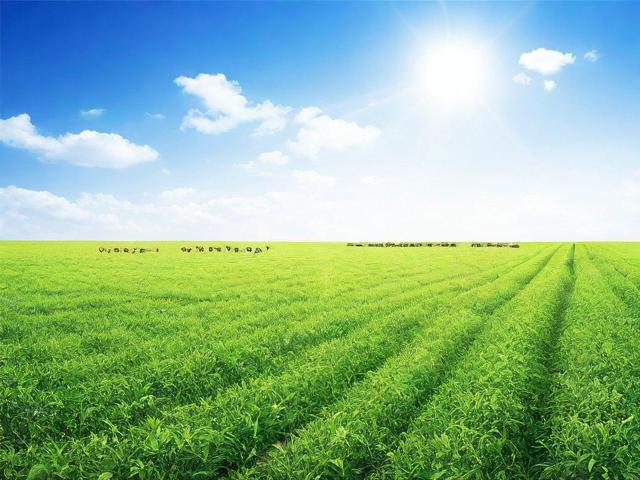 养殖补贴申请表的相关信息