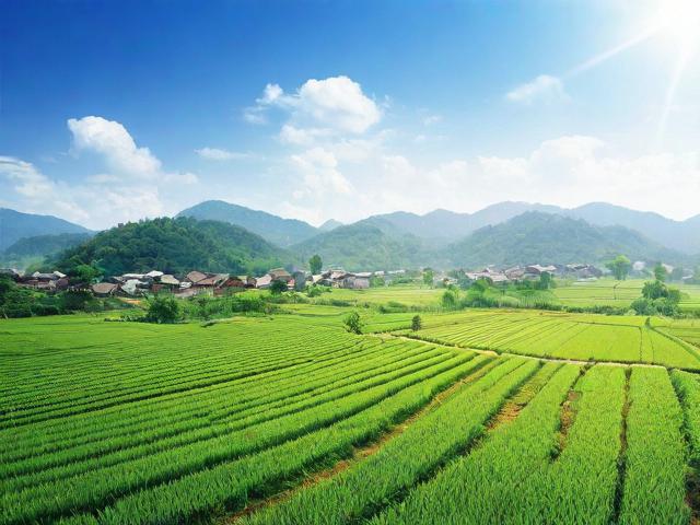 农村合作社怎么注册_农村合作社怎么注册公司