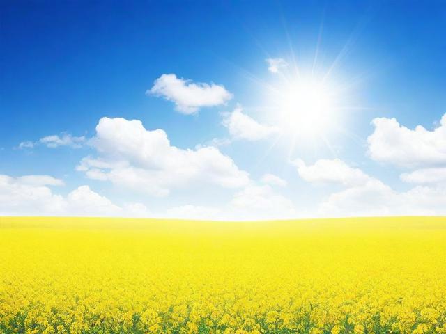 微信拍一拍功能关闭指南，告别打扰，回归宁静