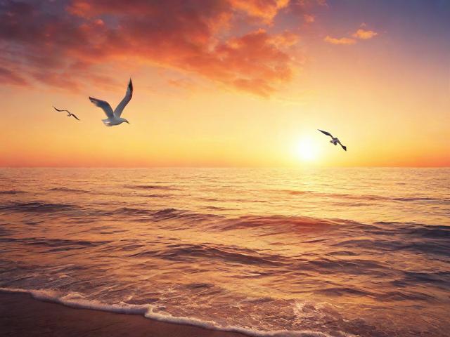 如何关闭双重认证，详细步骤与注意事项