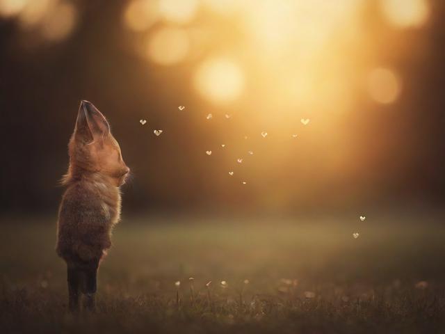 如何优雅地关闭评论别人，尊重与自律的智慧