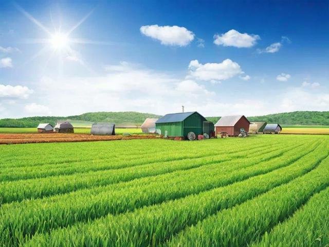 家庭农场补贴申请条件解读及指南