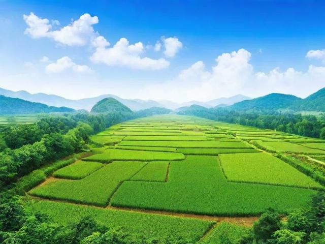 退耕还林补贴申请攻略