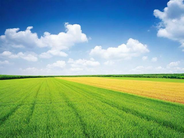 养殖补贴去哪里申请？你需要知道的全部信息