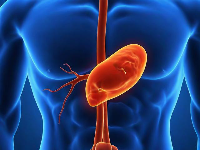 二尖瓣关闭不全的诊治策略，从病因到治疗手段全面解析