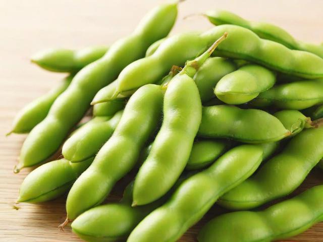 毛豆Y手机用户必看，轻松关闭蓝牙的详细步骤解析