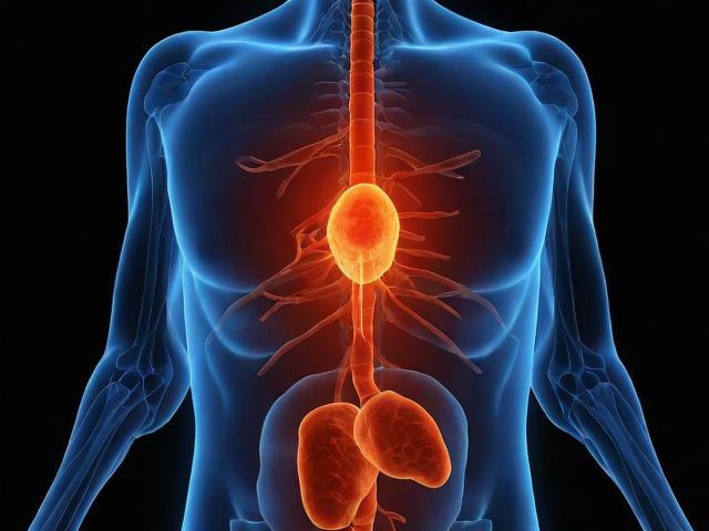 人工智能与黄体期，揭秘科技与生理周期的奇妙结合