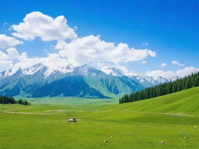 新疆人工智能，创新发展的新引擎，助力经济腾飞