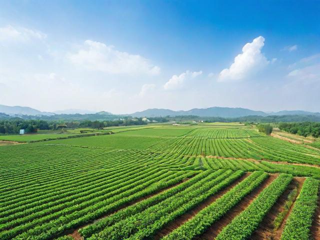 补贴基地申请的全面指南