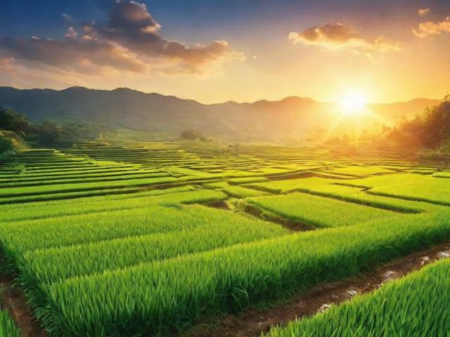 详解淘宝关闭农村淘宝的流程及注意事项