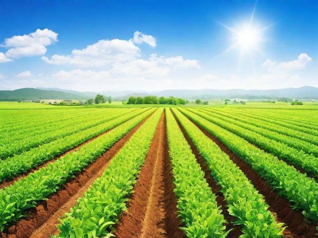 农业补贴项目的申请流程指南