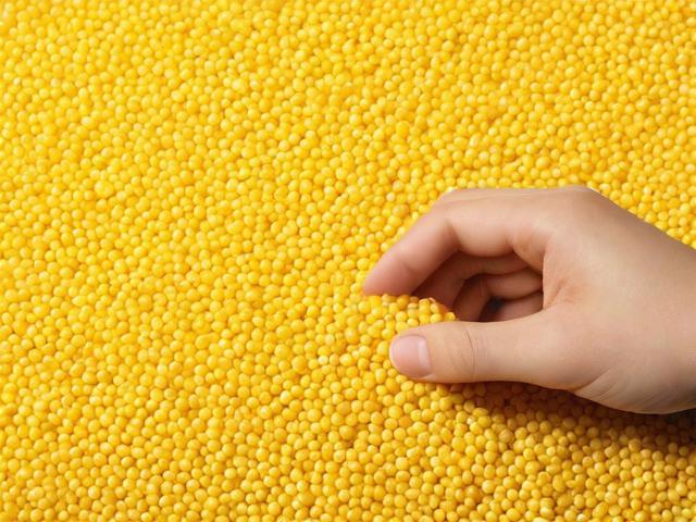 小米触碰付款关闭方法详解，安全与便捷并存