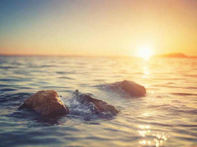 如何轻松关闭移动套餐，一站式指南