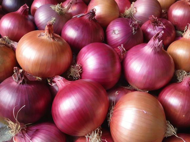 洋葱海外仓怎么注册_洋葱海外仓怎么申请退款