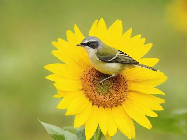 菜鸟新手必看，轻松关闭隐私号，保护个人隐私！