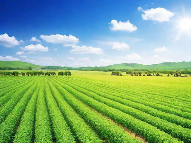 养殖补贴的申请流程与注意事项