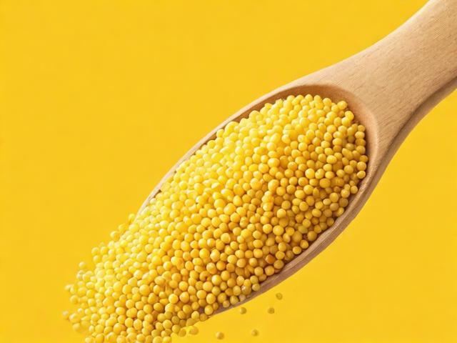 小米借钱关闭指南，轻松操作，安全关闭您的借款服务