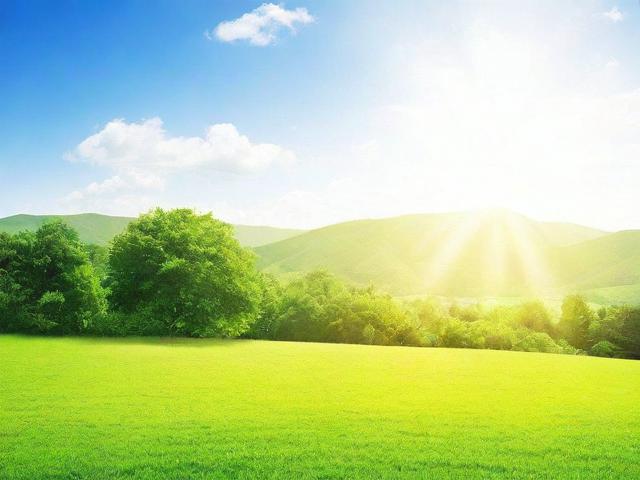 5S自动更新功能关闭全攻略，轻松找回宁静空间