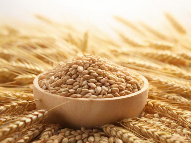 大麦盒子会员领取攻略，轻松享受尊贵体验