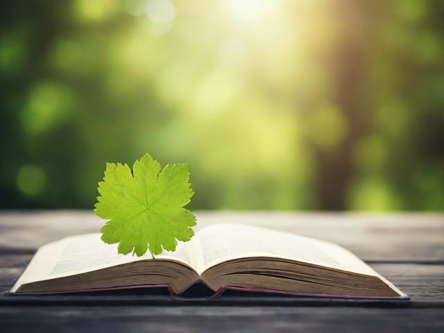 如何轻松关闭美团推送，告别打扰，享受宁静生活