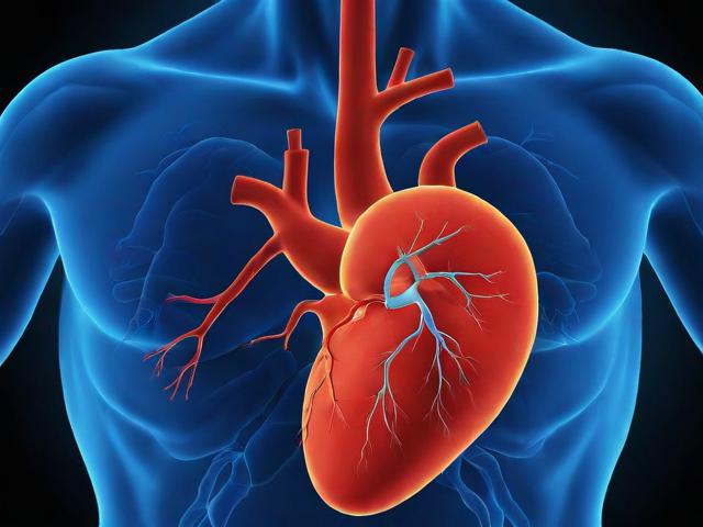 心脏主动脉瓣关闭不全怎么办？专业解答与防治建议