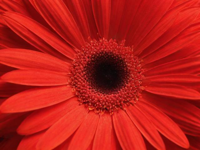 如何关闭彩红，揭秘彩红现象及其关闭方法