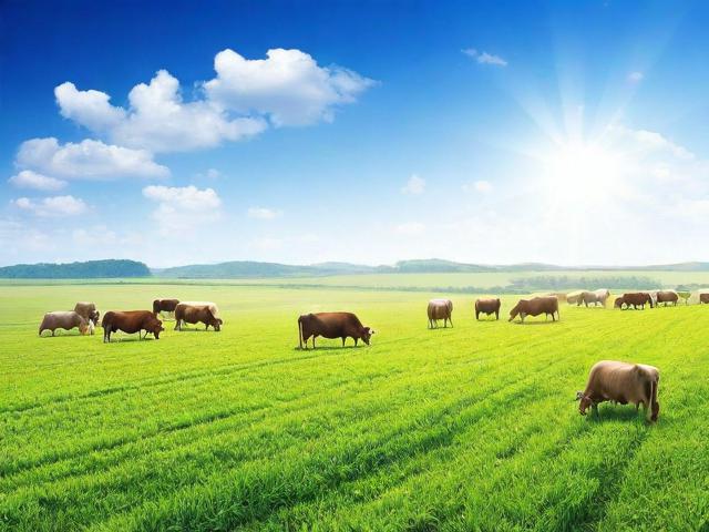 农牧业合作社补贴申请指南