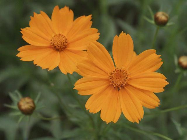 轻松关闭安逸花账户，一站式指南助您告别财务冗余