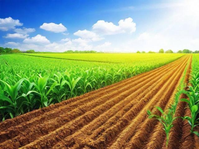 如何申请农业养殖补贴？