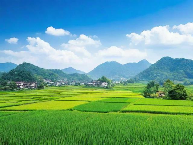 淘宝农村淘宝关闭指南，操作步骤详解及注意事项