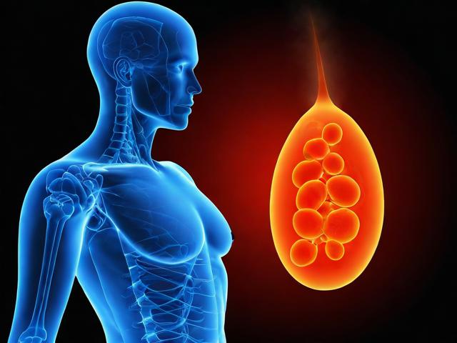 人工智能助力安胎，揭秘安胎原理与技术奥秘