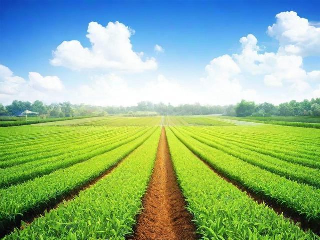 农业补贴申请书