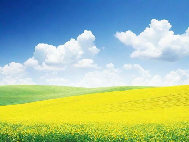 微信怎么关闭附近人，轻松保护个人隐私的实用指南