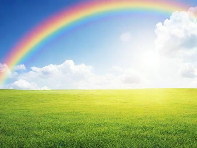 彩视APP使用指南，轻松关闭彩视，享受宁静时光