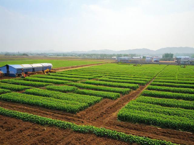 养殖业补贴申请书