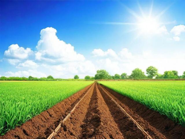 种地补贴如何申请？