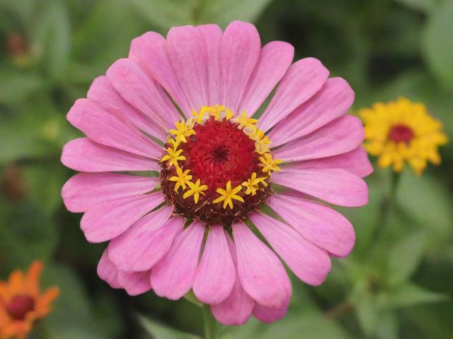 轻松关闭淘宝蚂蚁花，操作指南与注意事项