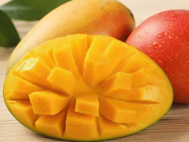 芒果TV连续包月服务关闭指南，轻松解除自动续费，享受自由观看