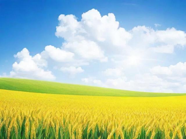 微信声音关闭全攻略，告别打扰，享受宁静时光