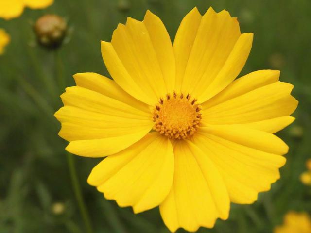 如何关闭花呗授信额度，操作指南与注意事项