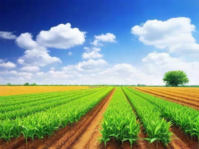 农业补贴申请流程详解