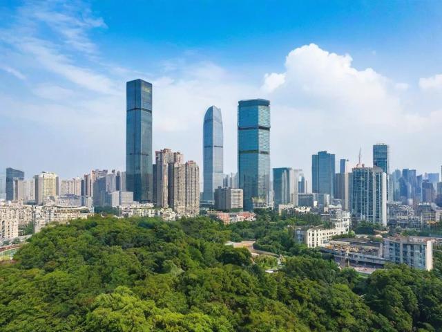 龙华区人才补贴申请指南，如何快速顺利办理