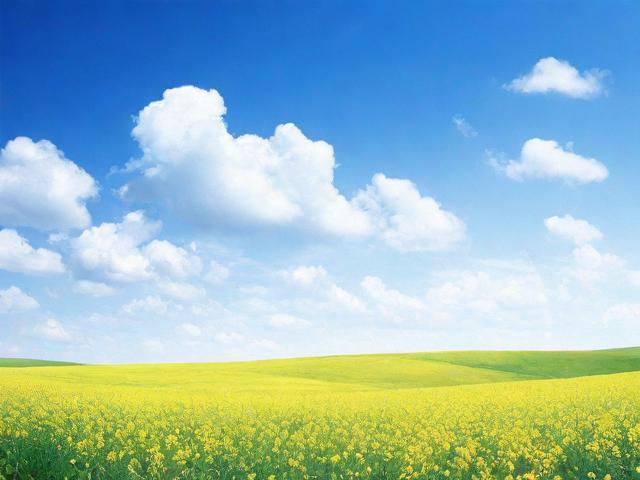 扣扣如何轻松关闭兴趣部落，告别繁琐，回归纯净空间