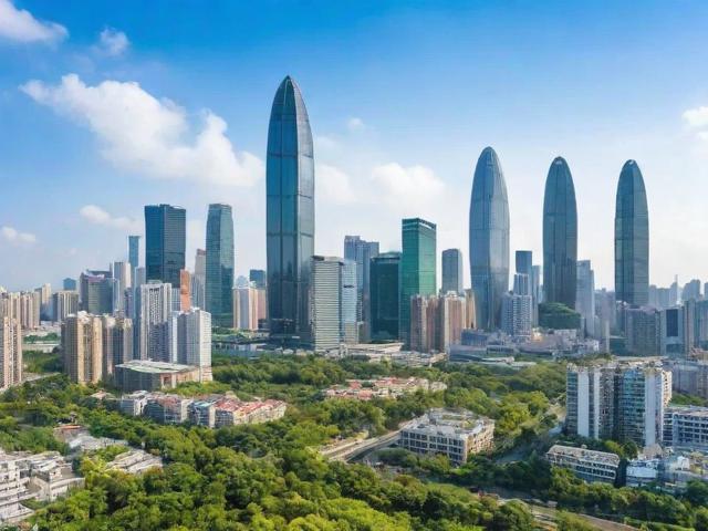 深圳市成长补贴申请指南，详解详细步骤和注意事项