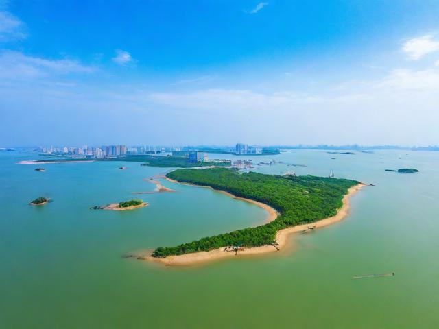 崇明岛补贴申请条件详解